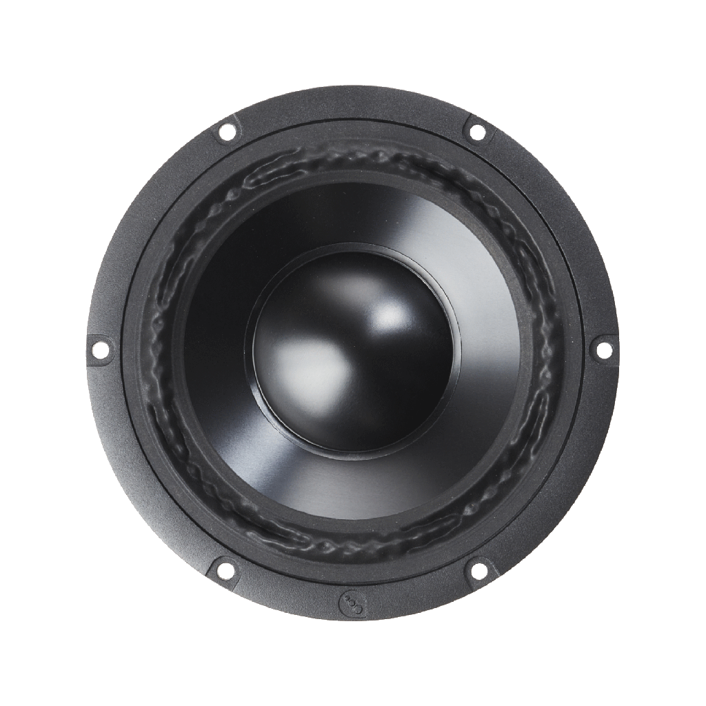 ドッティさま　f PTT6.5X04-NAA-08 | PTT Shop